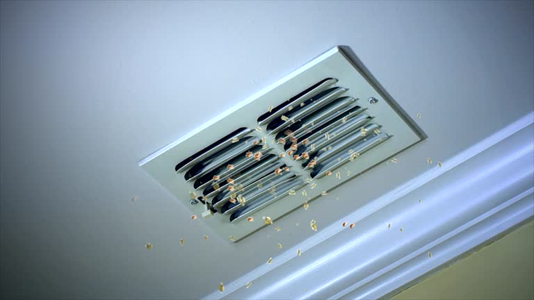 Best Residential Air Duct Cleaning  in Piperton, TN
